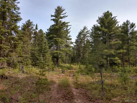 300 Acres County Road 506, Newberry, MI 49868