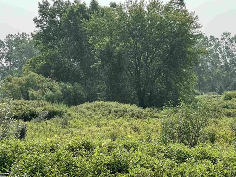 5350 Capac, Mussey, MI 48014