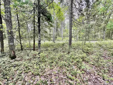 9139 U5, Rapid River, MI 49878