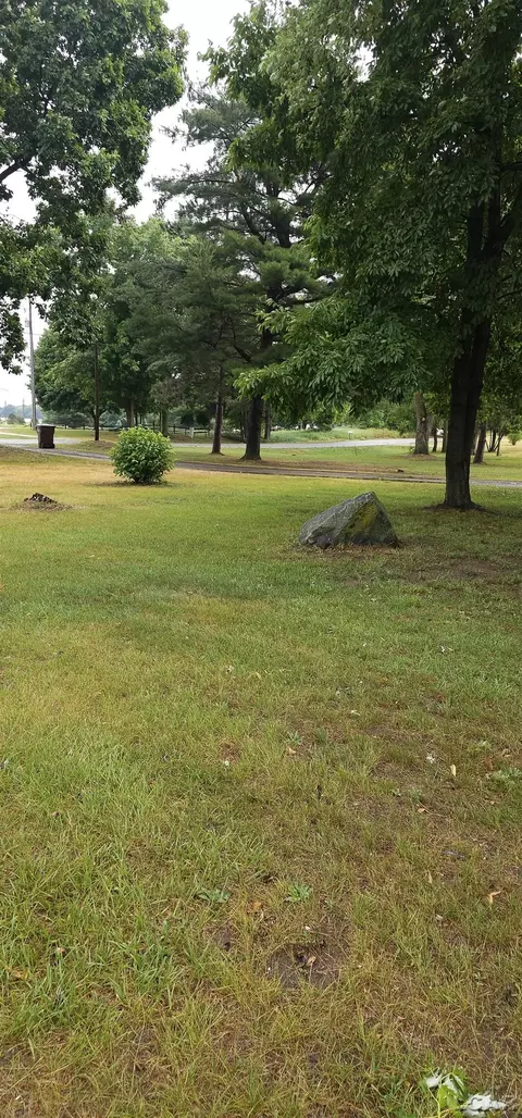 9355 Lee Rd, Jackson, MI 49201 photo 3