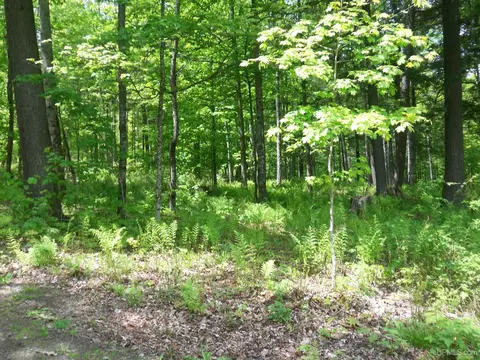 Tbd Oak Valley, Florence T-wi, WI 54121