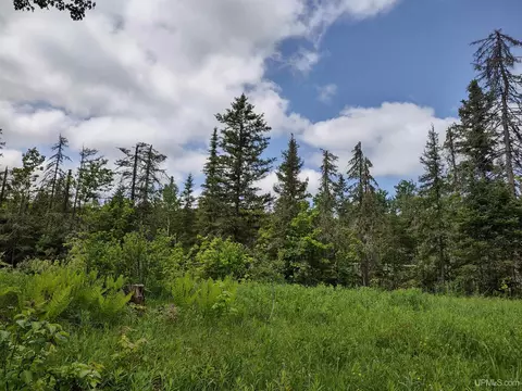 59- Acres Us-141, Covington, MI 49919