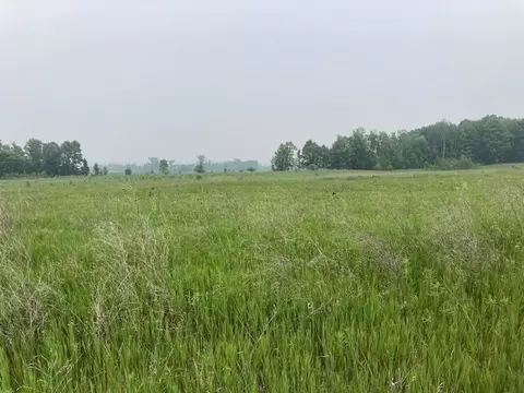 Parcel 6 Lands End, West Branch, MI 48661