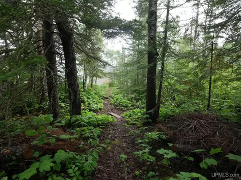 12948 M26, Eagle Harbor, MI 49950 photo 51