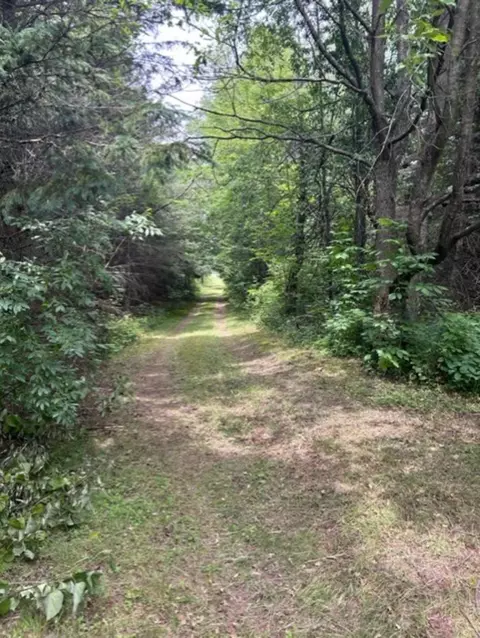 V/l S Grout, Gladwin, MI 48624 photo 29