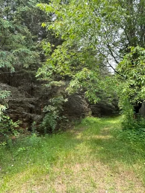 V/l S Grout, Gladwin, MI 48624 photo 21