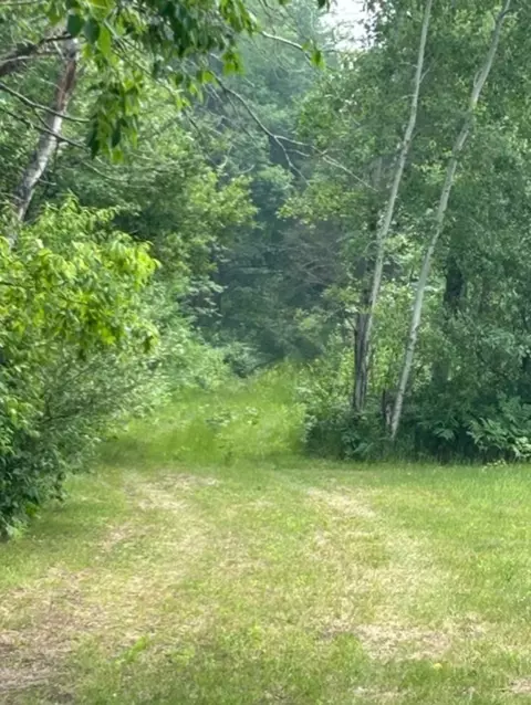 V/l S Grout, Gladwin, MI 48624 photo 23