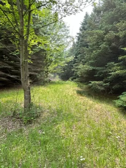 V/l S Grout, Gladwin, MI 48624 photo 19