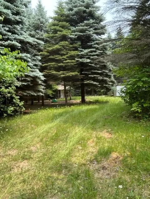 V/l S Grout, Gladwin, MI 48624 photo 22