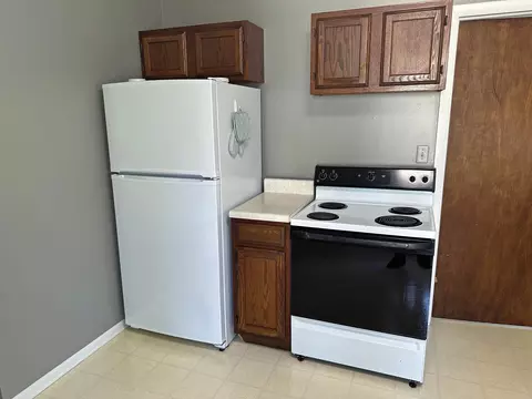 255 E Maple, Montrose, MI 48457 photo 10