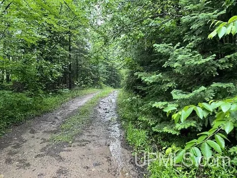 21756 Timberland, Michigamme, MI 49861
