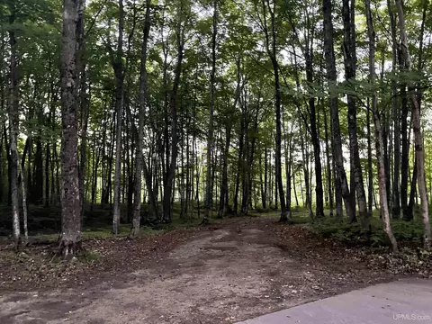 N6975 H15, Shingleton, MI 49884 photo 21
