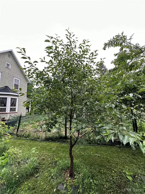 350 S Pne, Ishpeming, MI 49849 photo 60