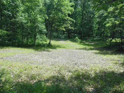 10 Acres Dodge Lk, Harrison, MI 48625