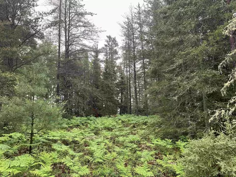 3505 Deer Lk, Ishpeming, MI 49849