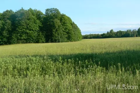 Tbd June Rd, Trenary, MI 49878