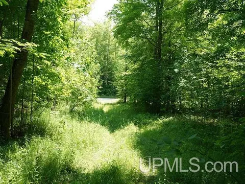 19110 Diller Road, Germfask, MI 49836 photo 23