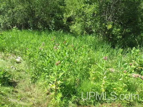 19110 Diller Road, Germfask, MI 49836 photo 21