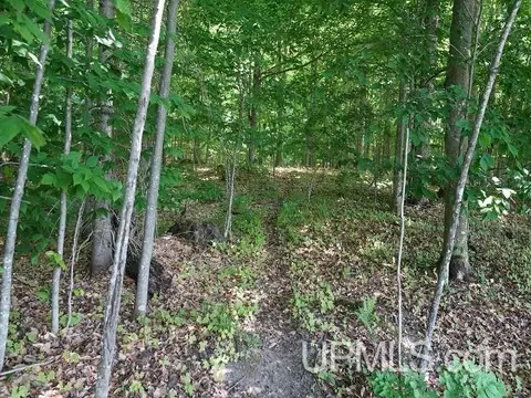 19110 Diller Road, Germfask, MI 49836 photo 18