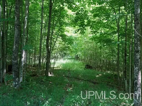 19110 Diller Road, Germfask, MI 49836 photo 16