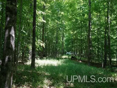 19110 Diller Road, Germfask, MI 49836 photo 20