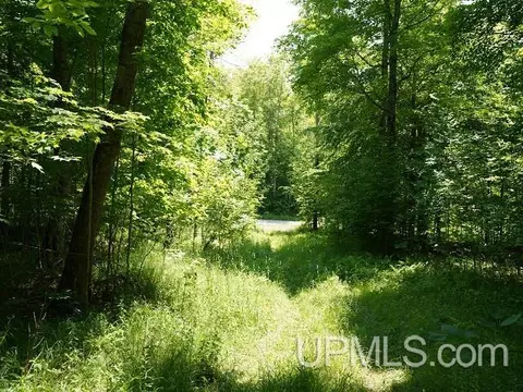 19110 Diller Road, Germfask, MI 49836 photo 22