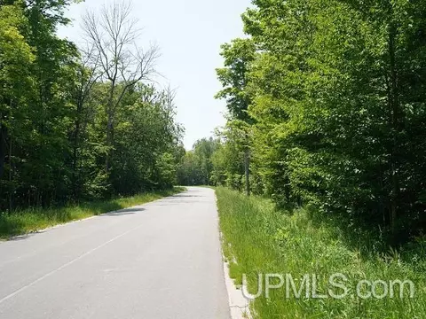 19110 Diller Road, Germfask, MI 49836 photo 24