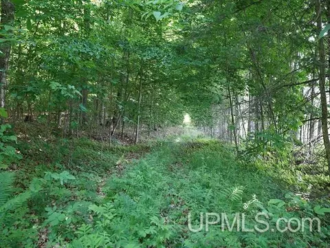 19110 Diller Road, Germfask, MI 49836 photo 17
