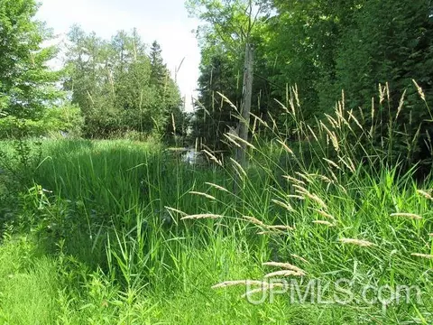 19110 Diller Road, Germfask, MI 49836 photo 8