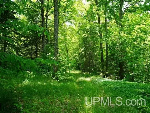19110 Diller Road, Germfask, MI 49836 photo 15