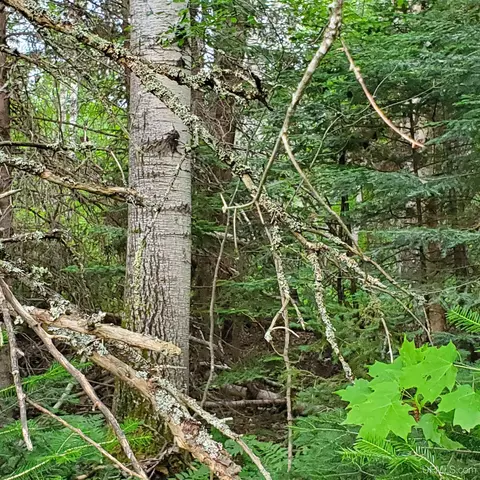 Tbd 20 Acres Bootjack, Lake Linden, MI 49945
