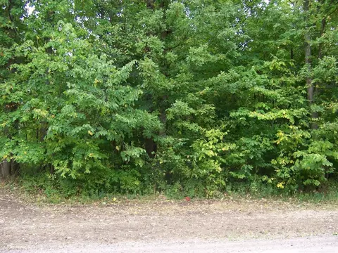 Vacant Cochrane, Berlin, MI 48002