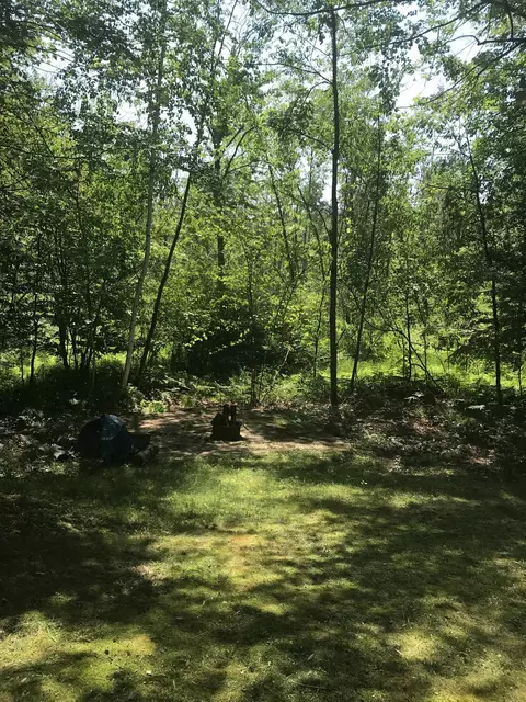 2202 E Surrey, Farwell, MI 48622 photo 12