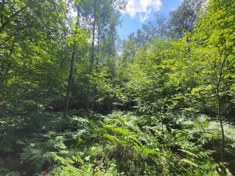 2136 Smith, Gladwin, MI 48624 photo 36