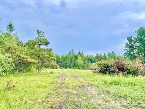 9987 E K10 17th, Rapid River, MI 49878 photo 6