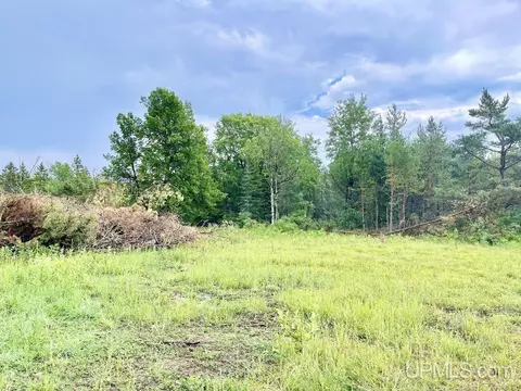 9987 E K10 17th, Rapid River, MI 49878 photo 4