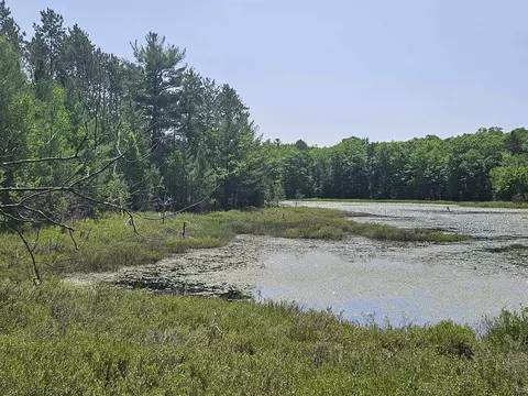 Vans, Fife Lake, MI 49633