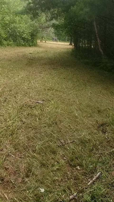 40 E 5 Acres E Wirtz, Gladwin, MI 48624 photo 14