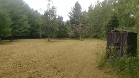 40 E 5 Acres E Wirtz, Gladwin, MI 48624