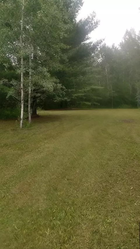 40 E 5 Acres E Wirtz, Gladwin, MI 48624 photo 12