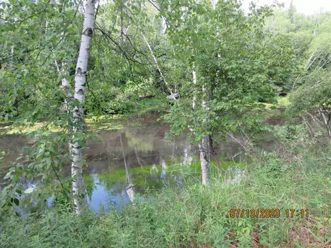 163 Larch Trl, Lake, MI 48632