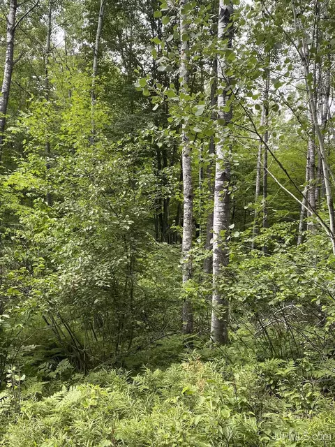 Tbd Campbell, Florence T-wi, WI 54121
