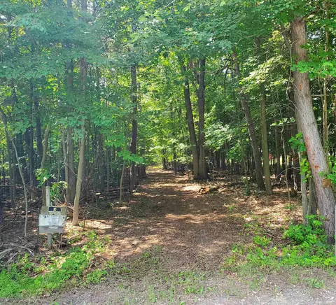 Tbd W Mortimer Line, Croswell, MI 48422