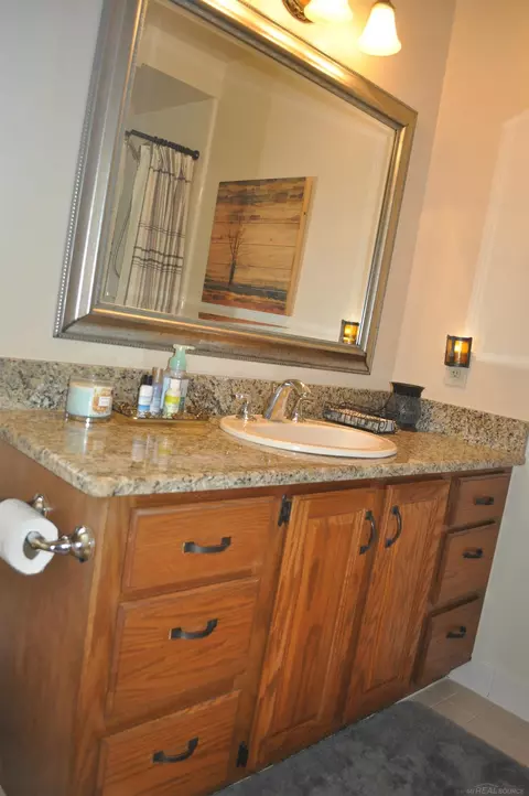 9465 Puttygut, Casco, MI 48064 photo 26