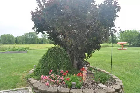 9465 Puttygut, Casco, MI 48064 photo 9