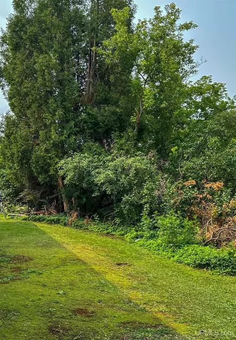 716 Cleveland, Ishpeming, MI 49849 photo 4