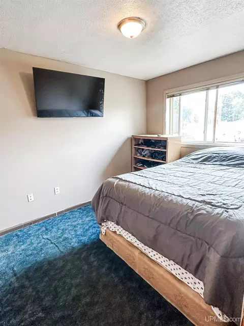 716 Cleveland, Ishpeming, MI 49849 photo 21