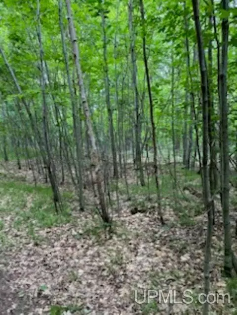 Tbd Lincoln, Niagara C-wi, WI 54151