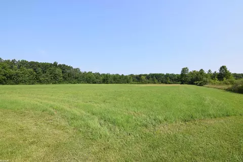Broadbridge, Ira, MI 48023 photo 8