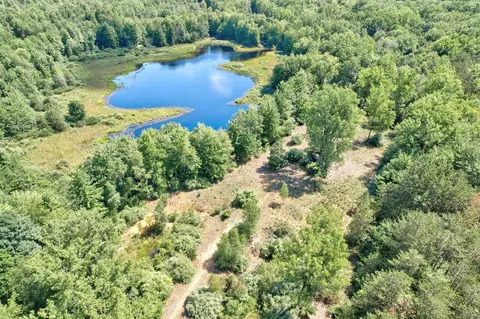 3759 S Ringle, Vassar, MI 48768 photo 43